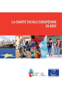 La Charte sociale européenne en bref (2017)